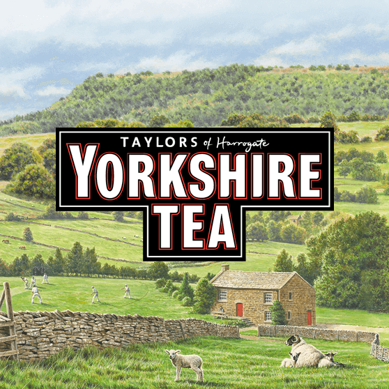 Caterite  Taylors Yorkshire Tea Bags